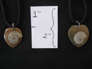 pendant fossils sm 500 IMG_6387.jpg